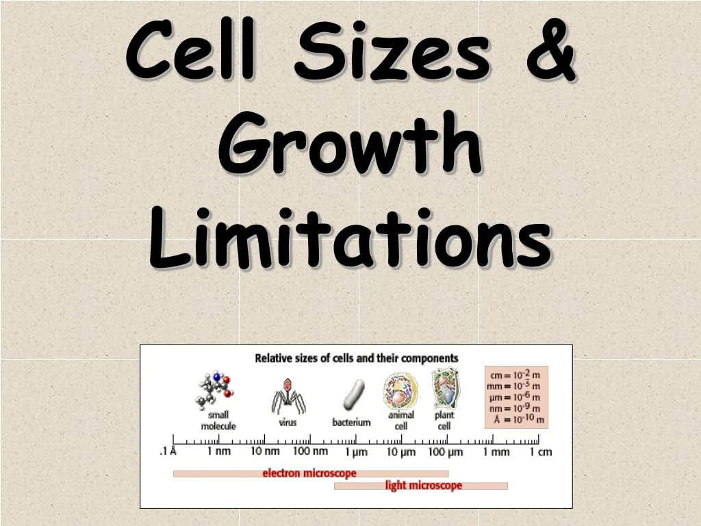 cell sizes growth limitations