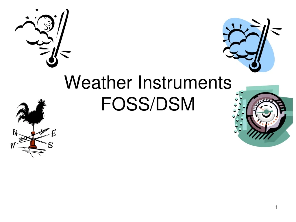 weather instruments foss dsm