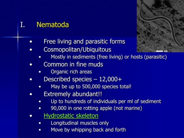 Nematoda Free living and parasitic forms Cosmopolitan/Ubiquitous