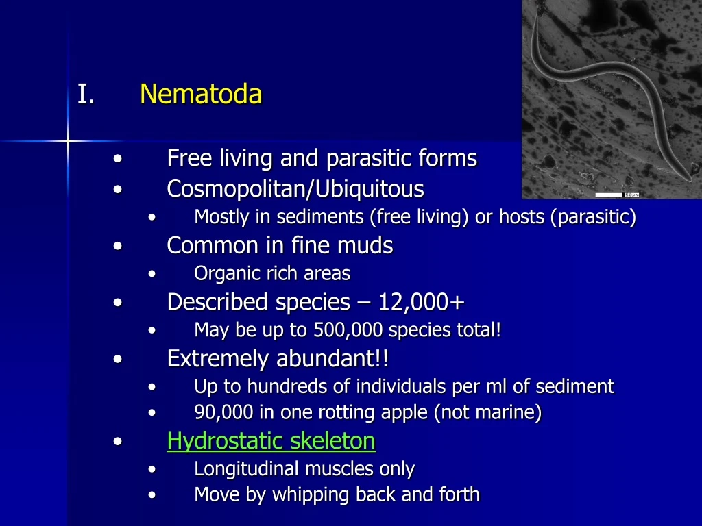 nematoda free living and parasitic forms