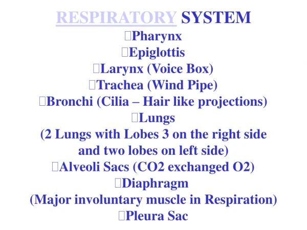 RESPIRATORY  SYSTEM Pharynx Epiglottis Larynx (Voice Box) Trachea (Wind Pipe)