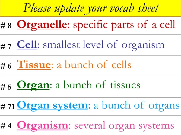 Organelle : specific parts of a cell Cell : smallest level of organism Tissue : a bunch of cells