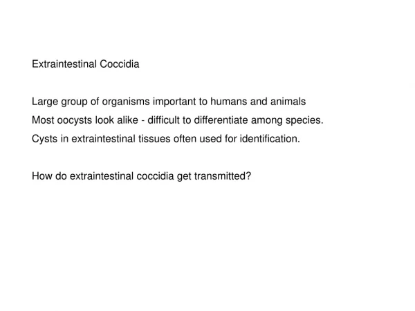 Extraintestinal Coccidia Large group of organisms important to humans and animals
