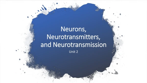 Neurons, Neurotransmitters,  and Neurotransmission