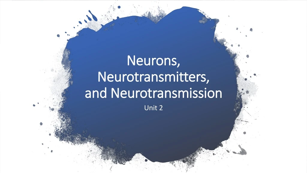 neurons neurotransmitters and neurotransmission