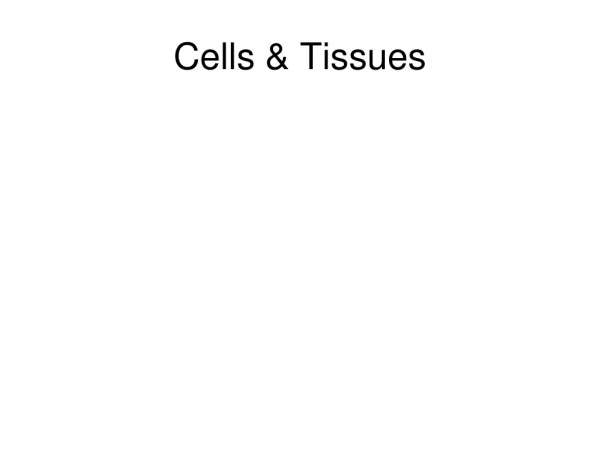 Cells &amp; Tissues