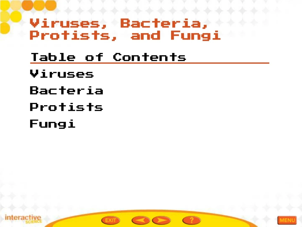 viruses bacteria protists and fungi