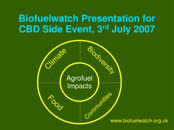 Biofuelwatch Presentation for CBD Side Event, 3 rd  July 2007
