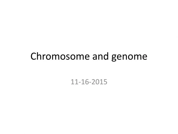 Chromosome and genome