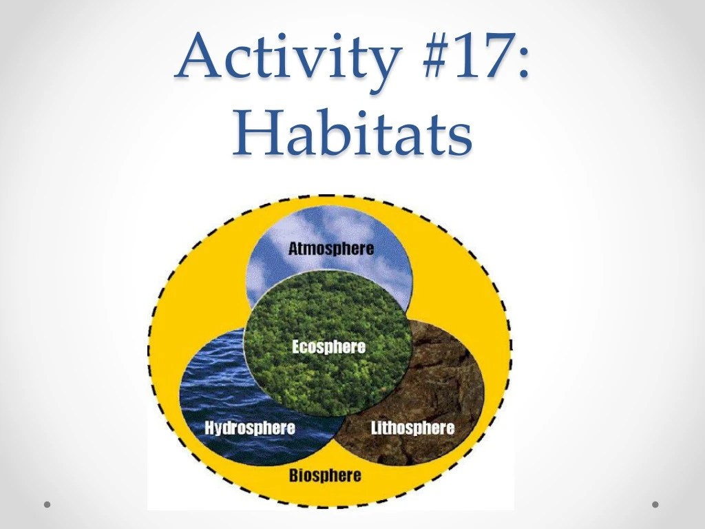 activity 17 habitats