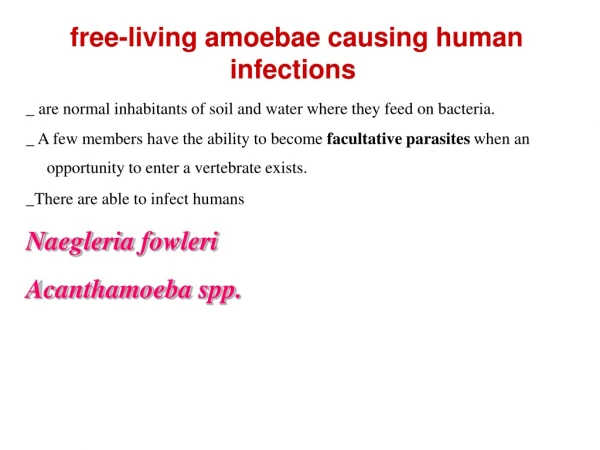 free-living amoebae causing human infections