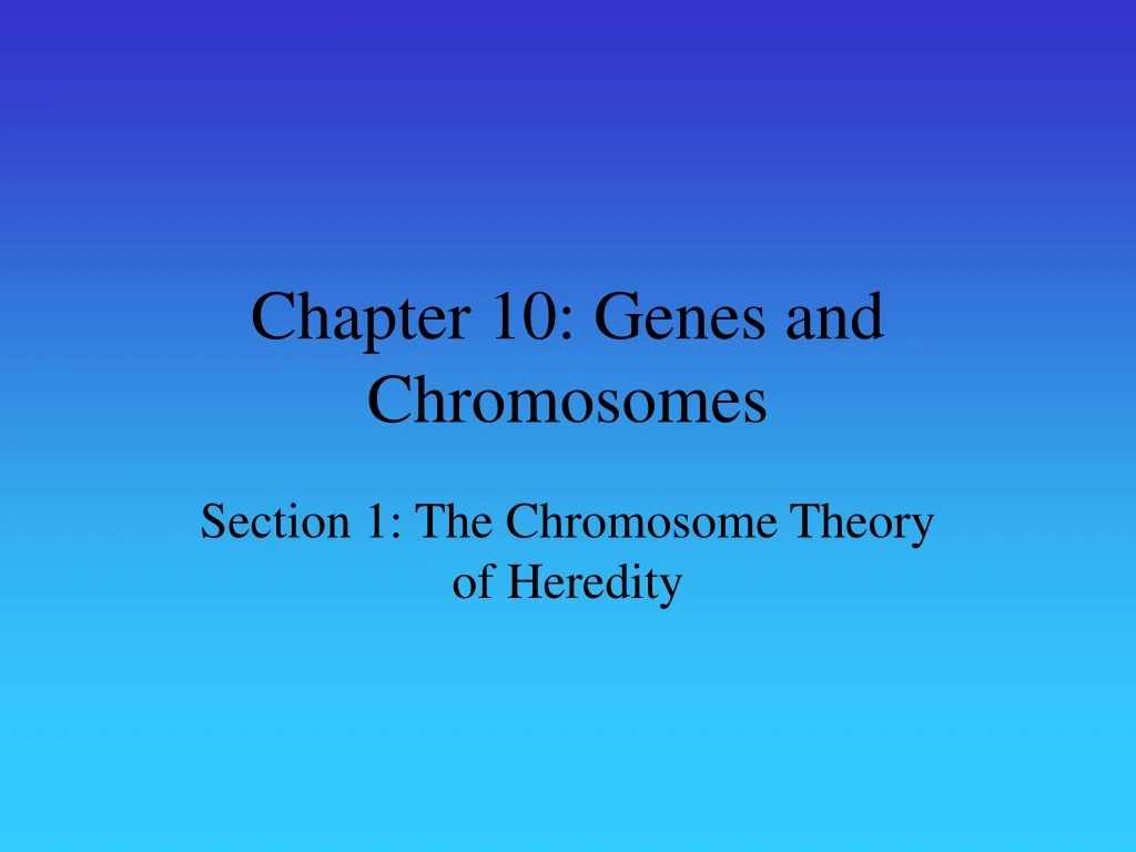 chapter 10 genes and chromosomes