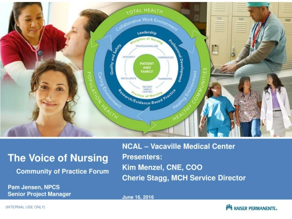 The Voice of Nursing Community of Practice Forum Pam Jensen, NPCS Senior Project Manager