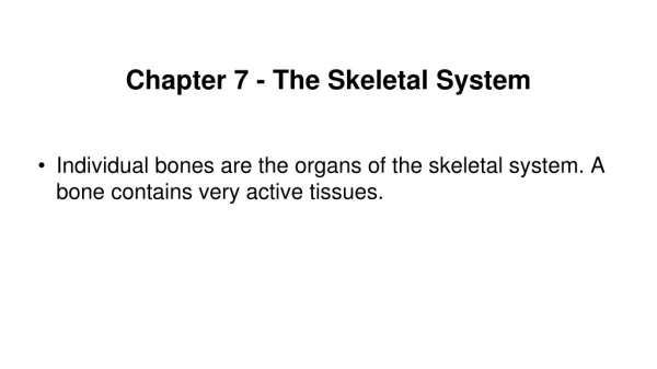 Chapter 7 - The Skeletal System