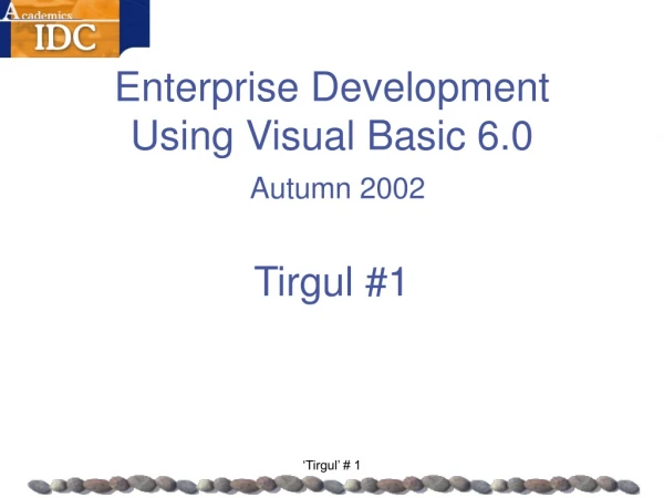 Enterprise Development  Using Visual Basic 6.0   Autumn 2002 Tirgul #1
