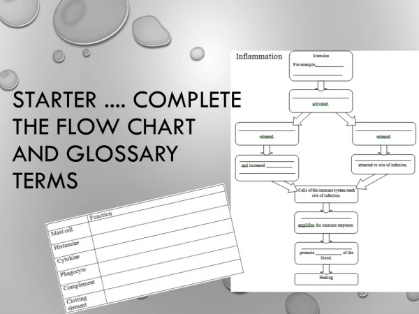 Starter .... Complete the flow chart and glossary terms