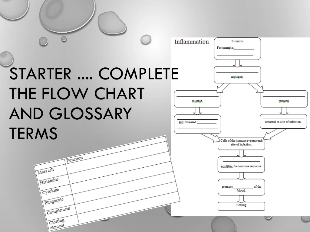 starter complete the flow chart and glossary terms