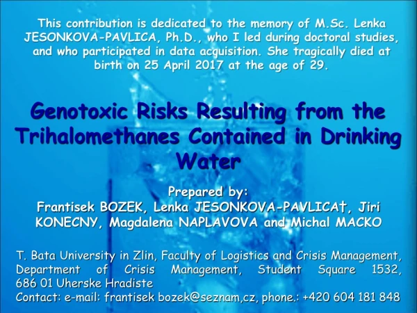 Genotoxic Risks Resulting from the  Trihalomethanes  Contained in Drinking Water