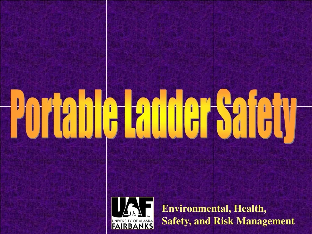 portable ladder safety