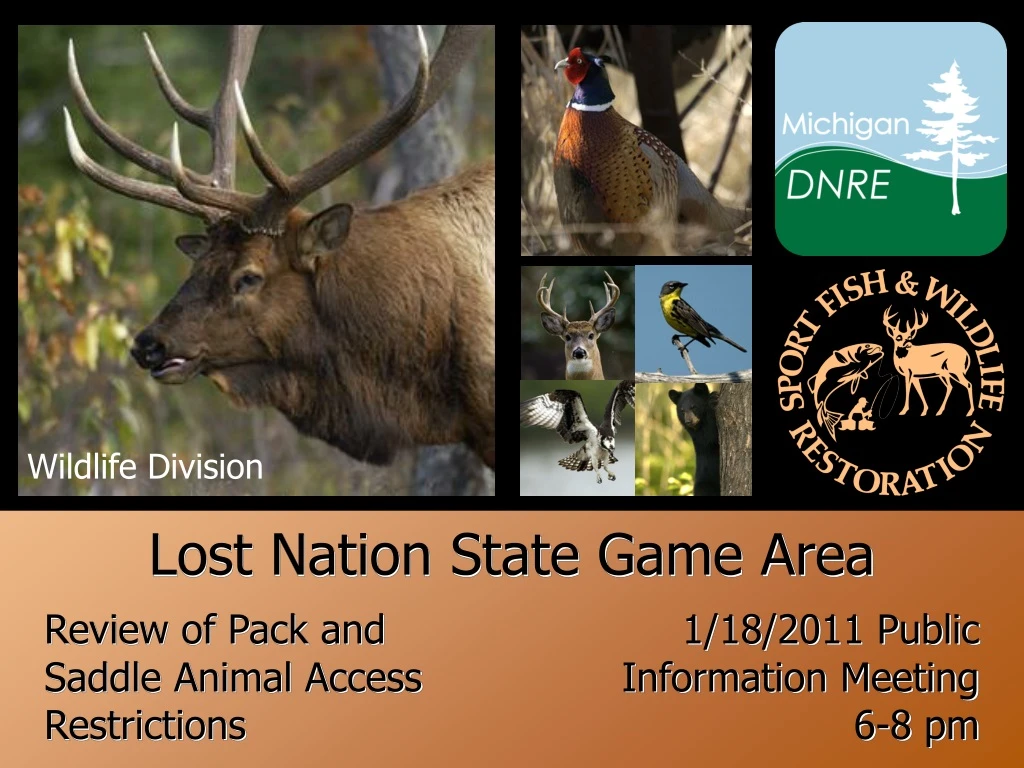 lost nation state game area
