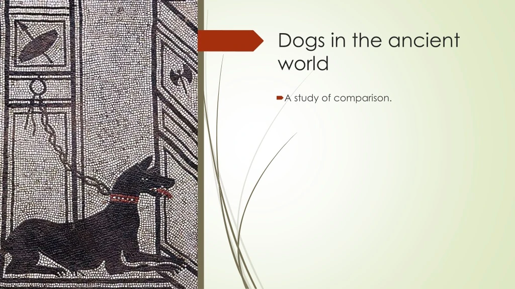 dogs in the ancient world