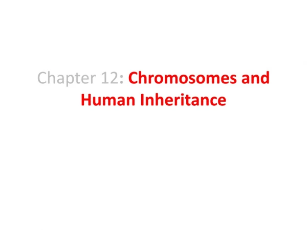 Chapter 12 :  Chromosomes and Human Inheritance