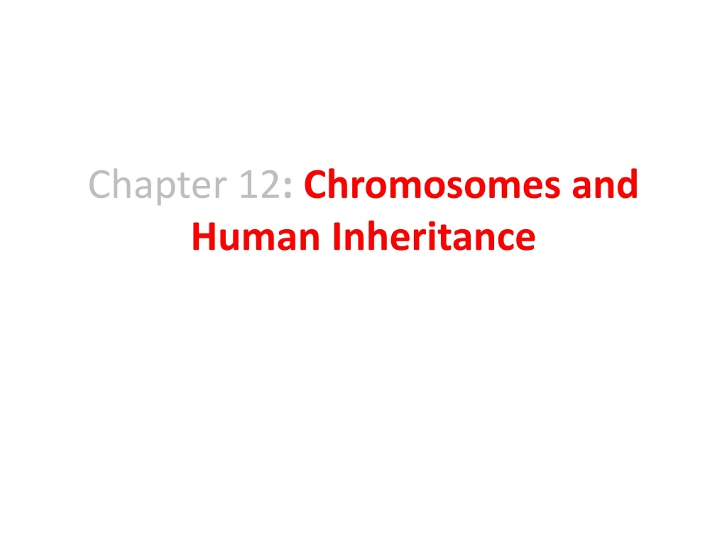 chapter 12 chromosomes and human inheritance