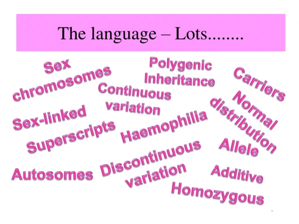 The language – Lots........