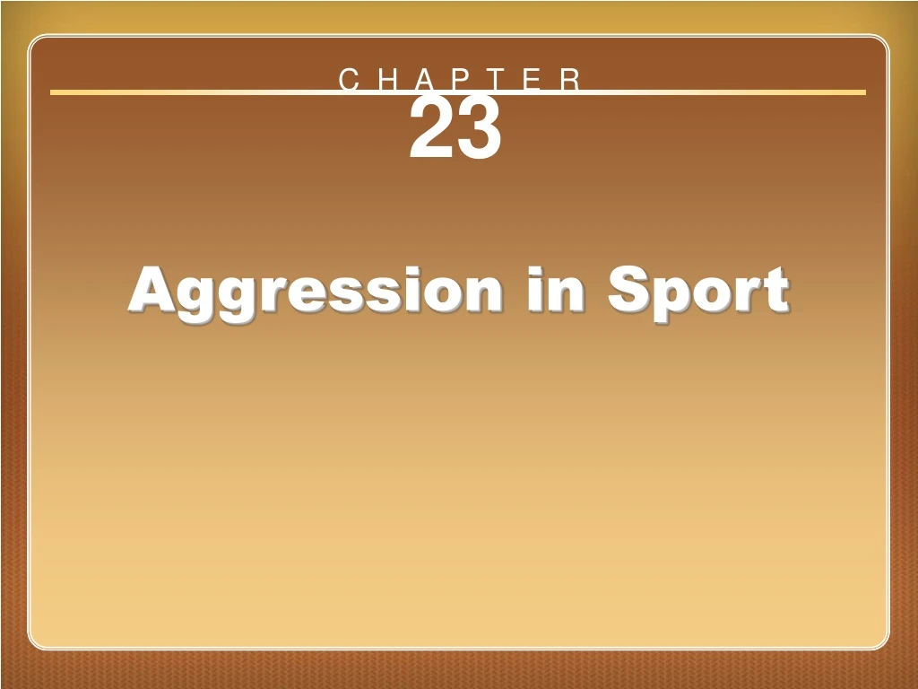 chapter 23 aggression in sport