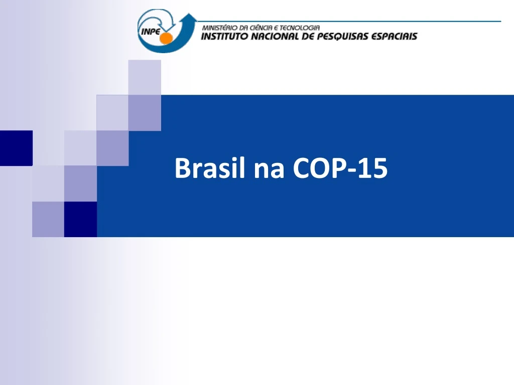 brasil na cop 15