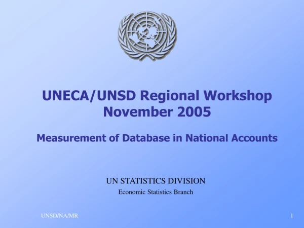 UNECA/UNSD Regional Workshop November 2005 Measurement of Database in National Accounts