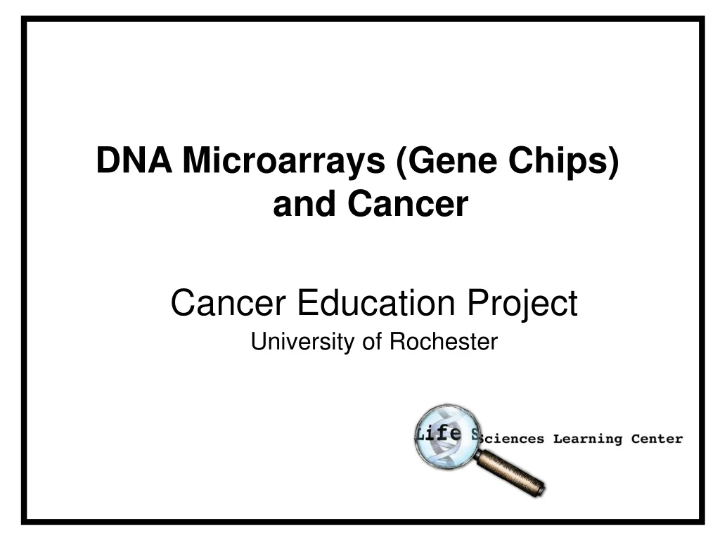 dna microarrays gene chips and cancer