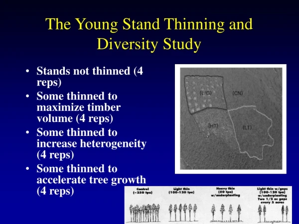 The Young Stand Thinning and Diversity Study