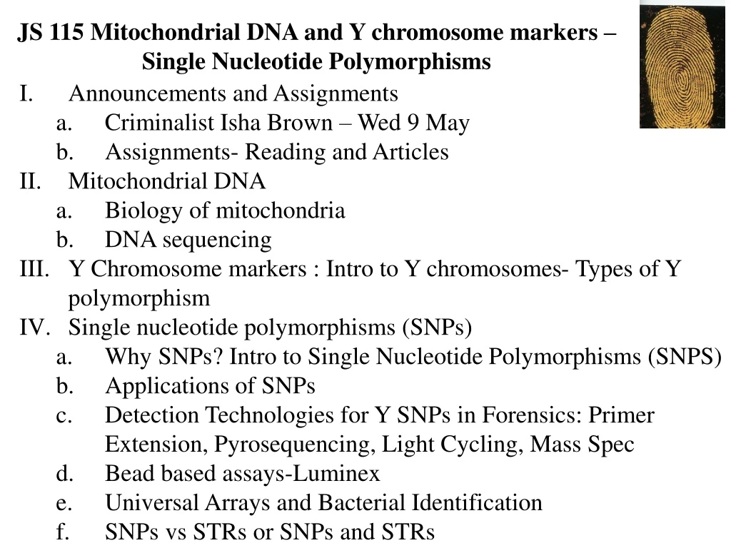js 115 mitochondrial dna and y chromosome markers single nucleotide polymorphisms