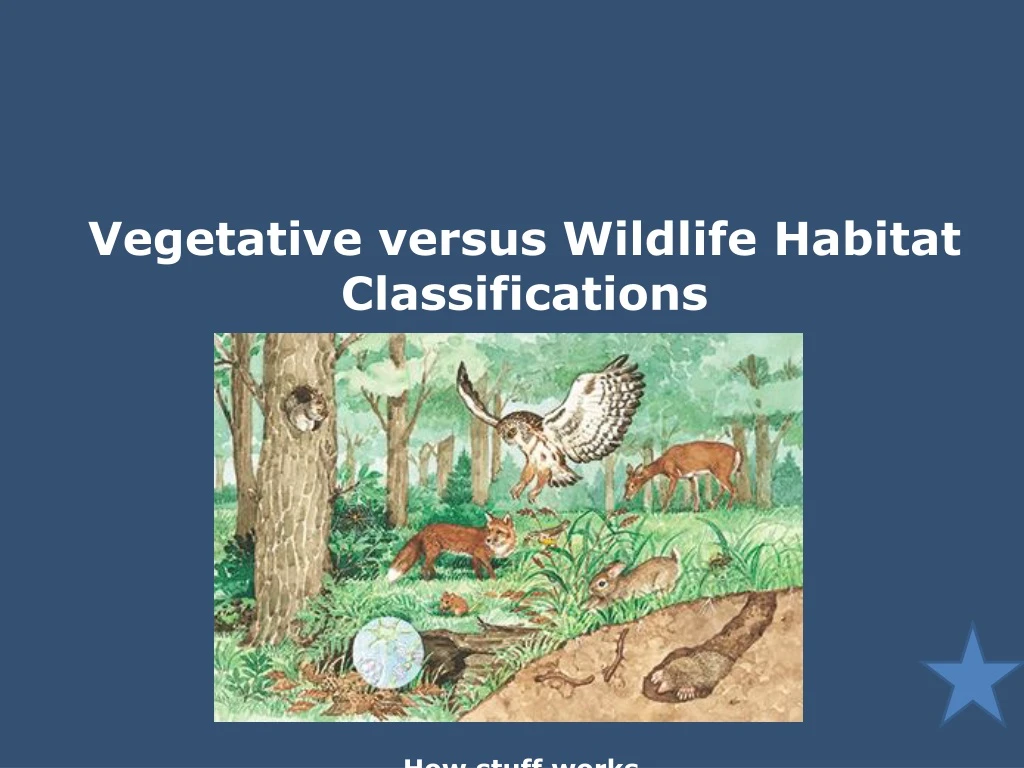 vegetative versus wildlife habitat classifications