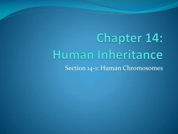 Chapter 14:  Human Inheritance