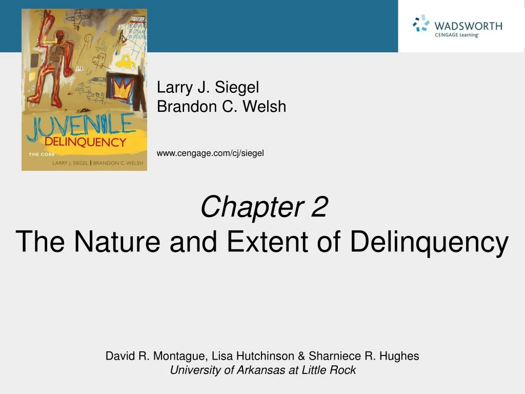 chapter 2 the nature and extent of delinquency