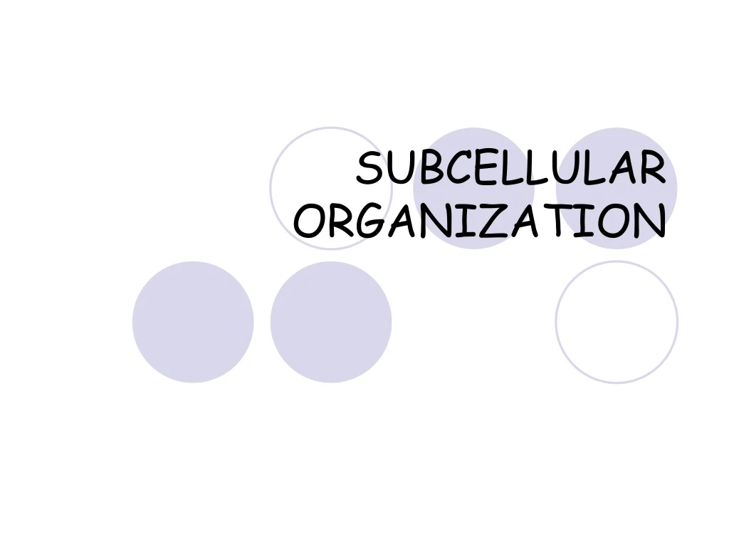 subcellular organization