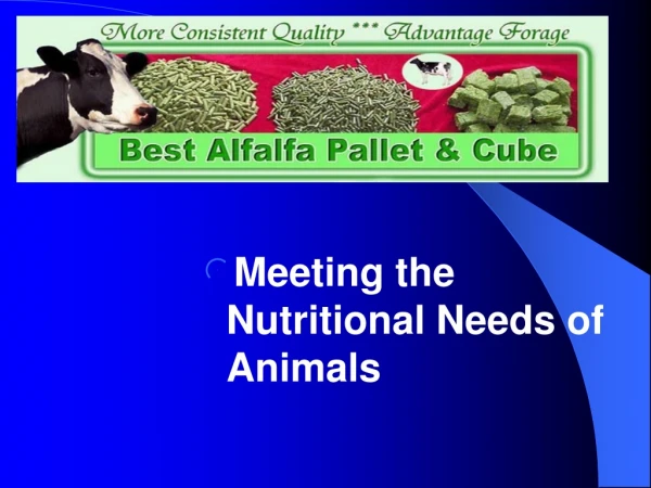 Meeting the Nutritional Needs of Animals