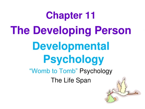 Chapter 11 The Developing Person  Developmental Psychology “Womb to Tomb”  Psychology