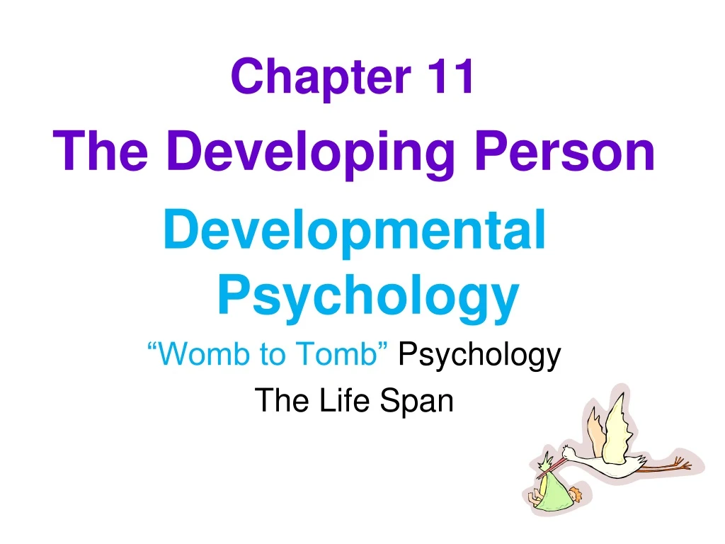 chapter 11 the developing person developmental