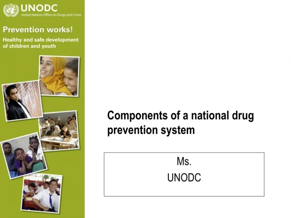 Components of a national drug prevention system