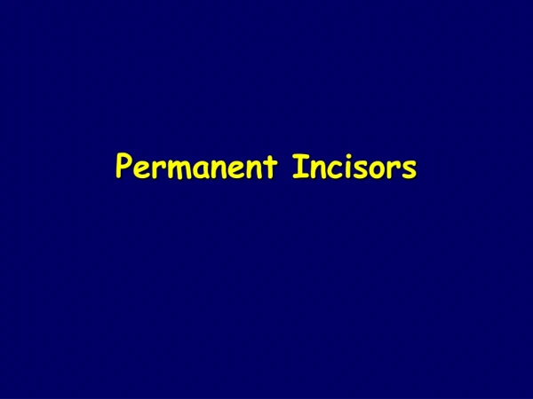Permanent Incisors