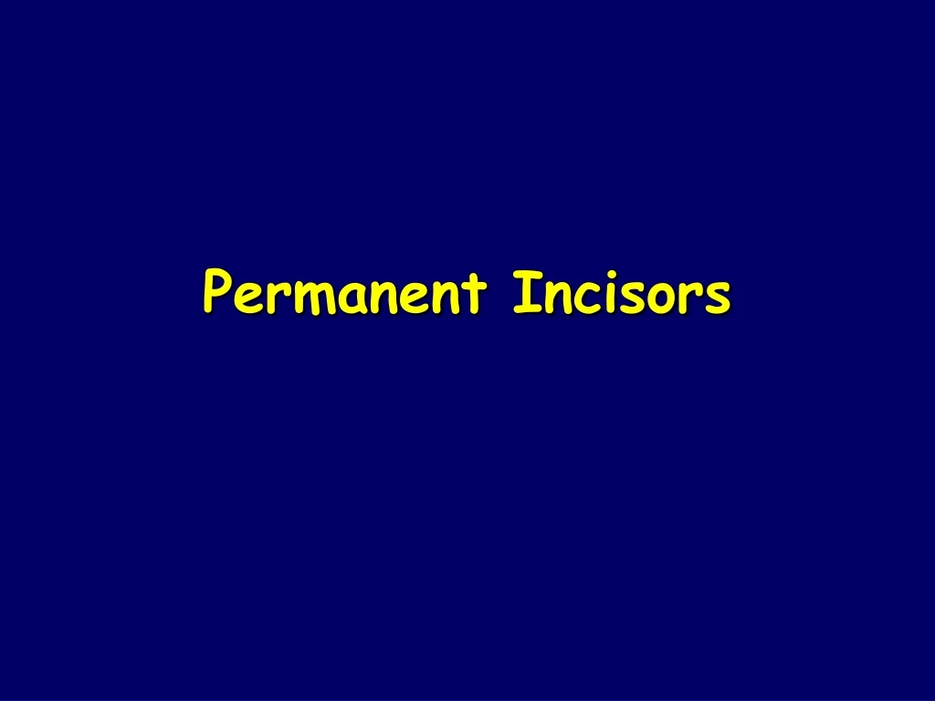 permanent incisors