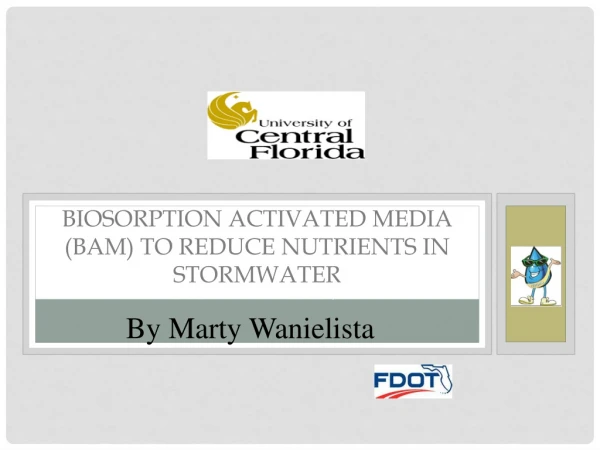 BIOSORPTION  ACTIVATED MEDIA (BAM) TO REDUCE NUTRIENTS IN  STORMWATER