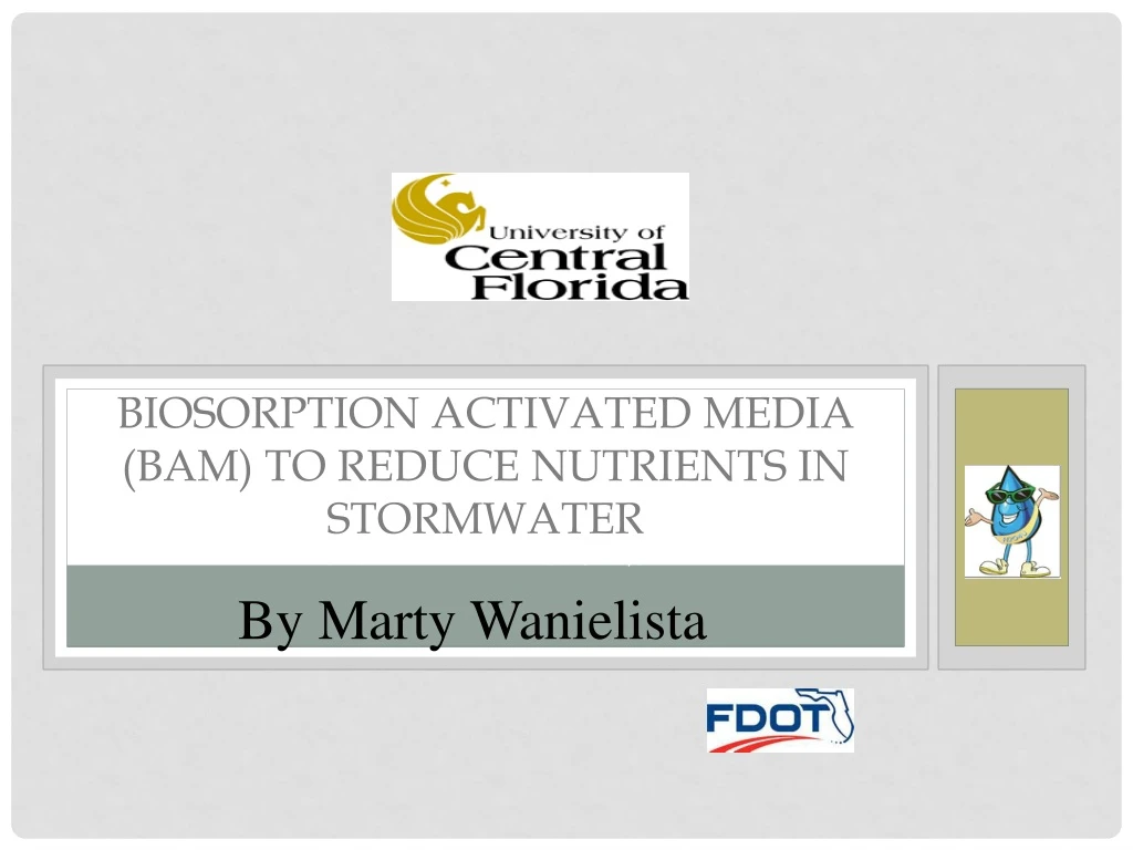 biosorption activated media bam to reduce nutrients in stormwater