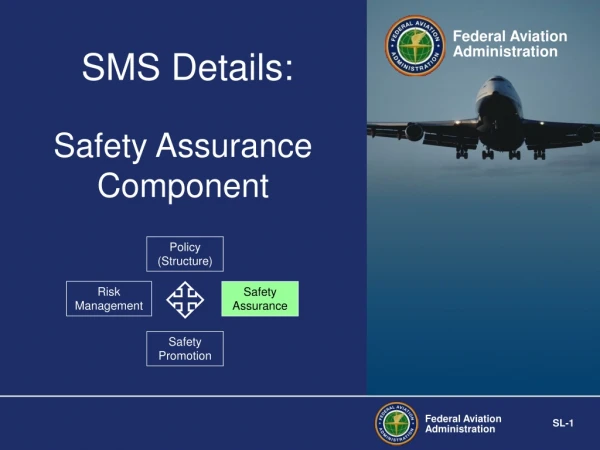 Safety Assurance Component
