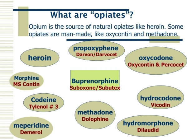 What are “opiates”?