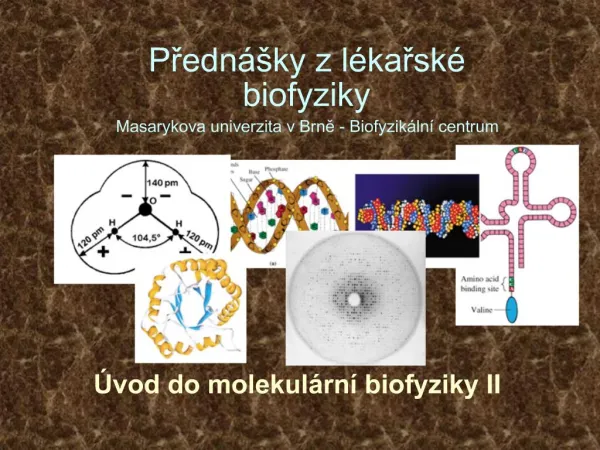Predn ky z l karsk biofyziky Masarykova univerzita v Brne - Biofyzik ln centrum
