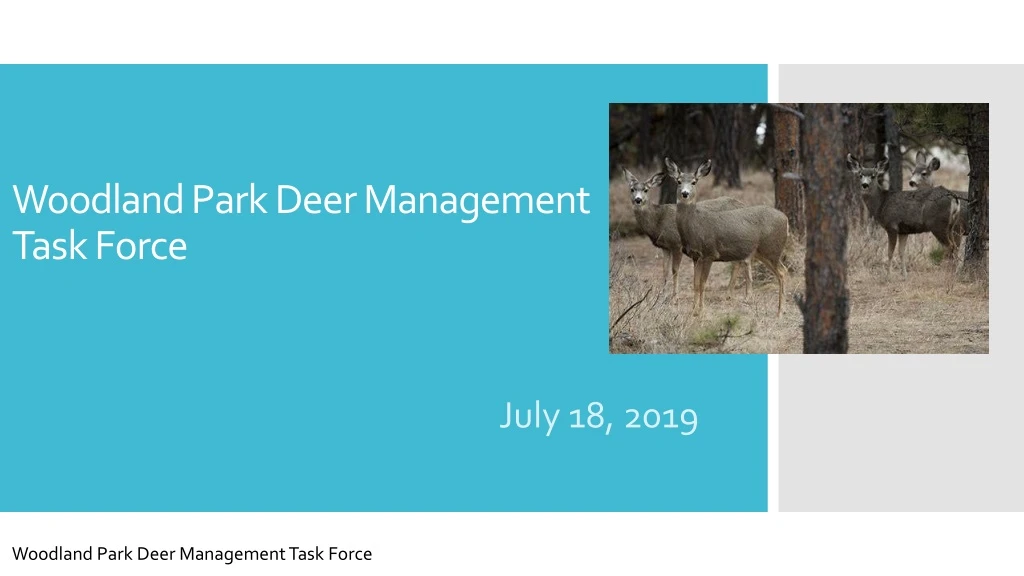 woodland park deer management task force